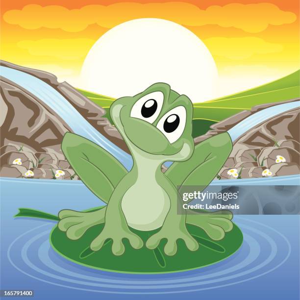 frog on a pond. - pool waterfall stock illustrations