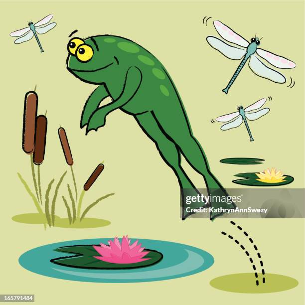frog and pond collection - pool fun stock illustrations