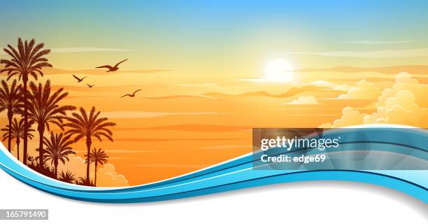 summer background banner - coconut palm tree stock illustrations