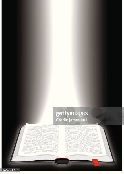 bible - ctrl alt delete by tom baldwin book launch stock illustrations