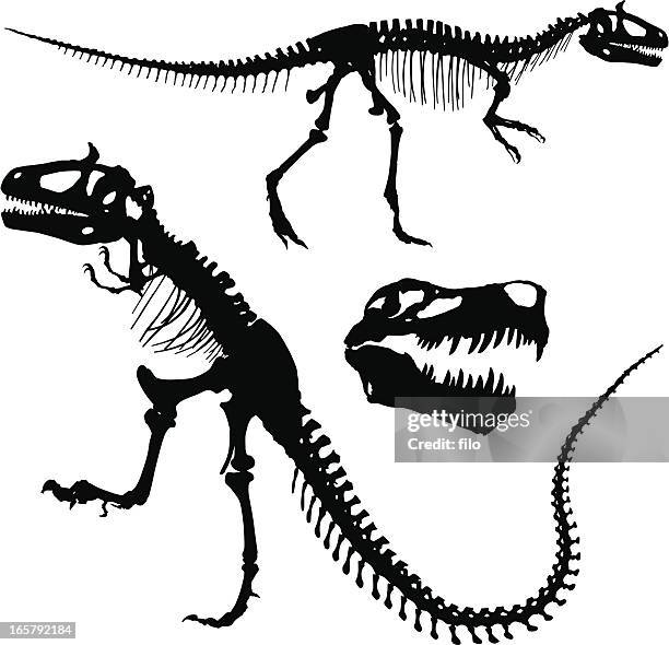 ilustrações, clipart, desenhos animados e ícones de tiranossauro rex - velociraptor