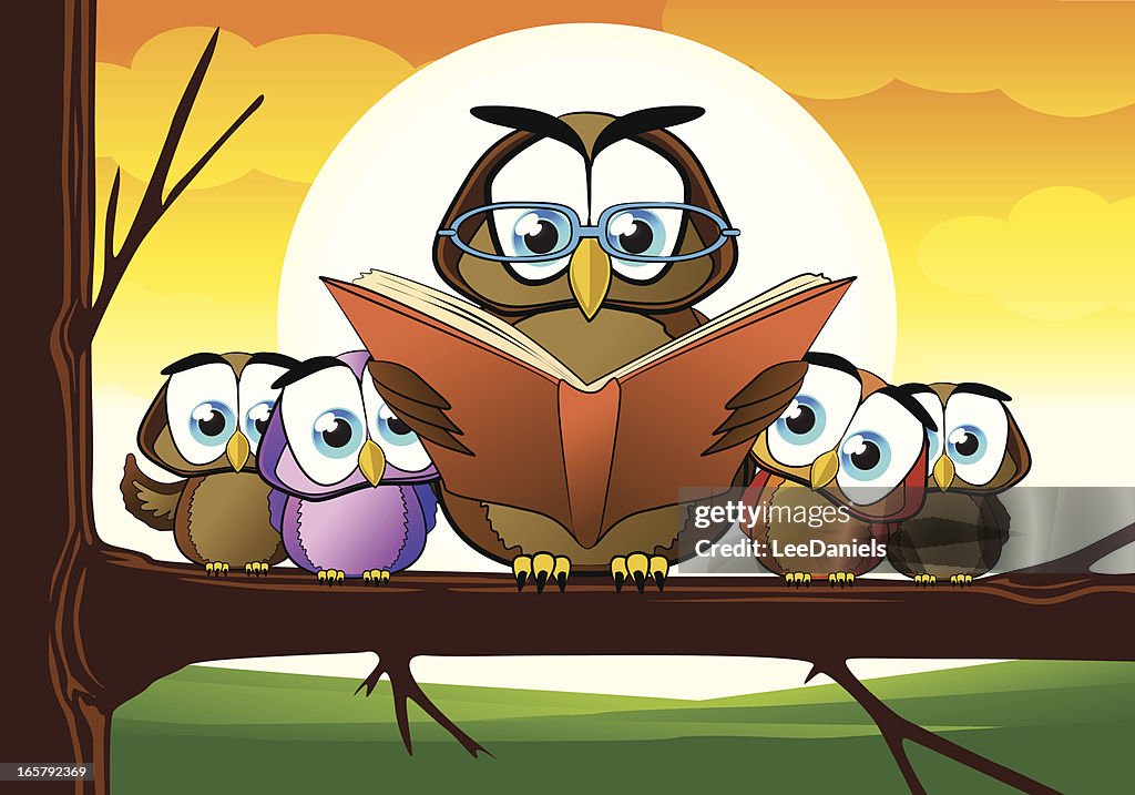 Wise Owl Teacher Cartoon High-Res Vector Graphic - Getty Images