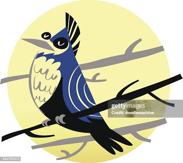 blue jay icon - blue jay flying stock illustrations