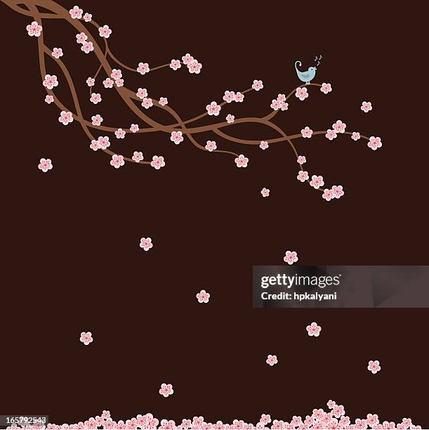fresh air cherry branch with bird - cherry blossoms falling stock illustrations