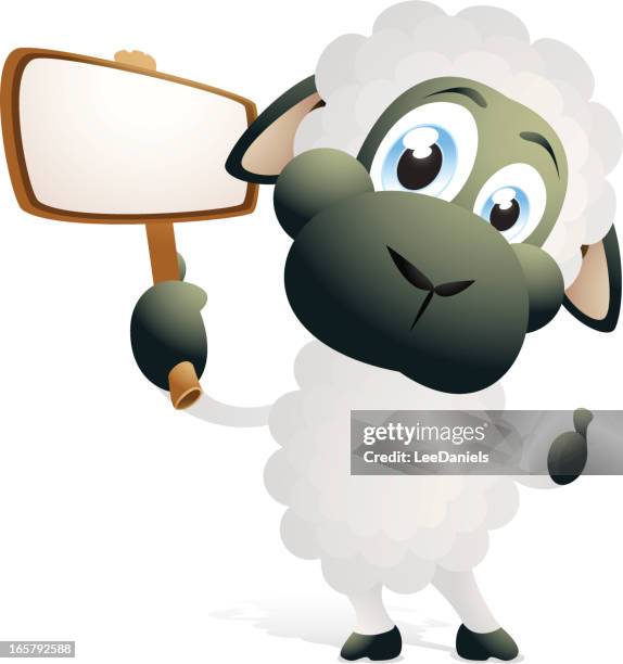 sheep holding a blank sign - sheep wool stock illustrations