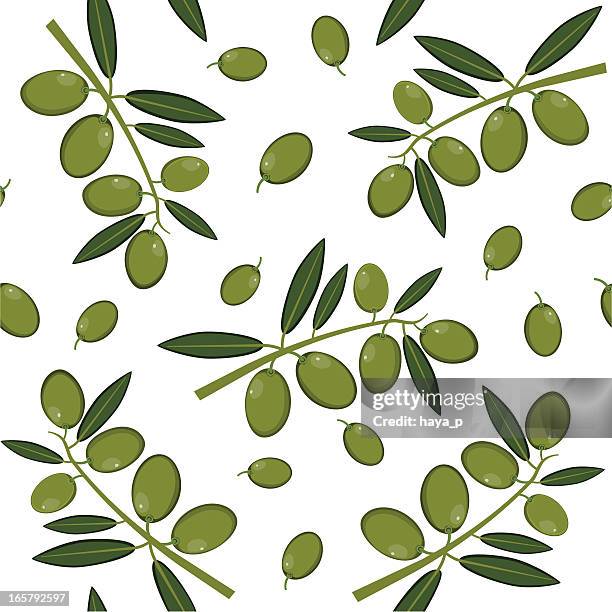 olive branches and fruit - olive leaf stock illustrations