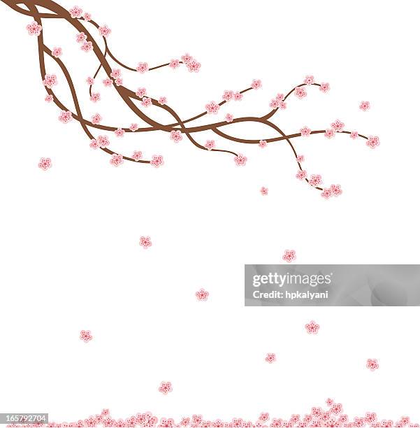 ilustraciones, imágenes clip art, dibujos animados e iconos de stock de derivación de aire fresco cherry - cherry tree