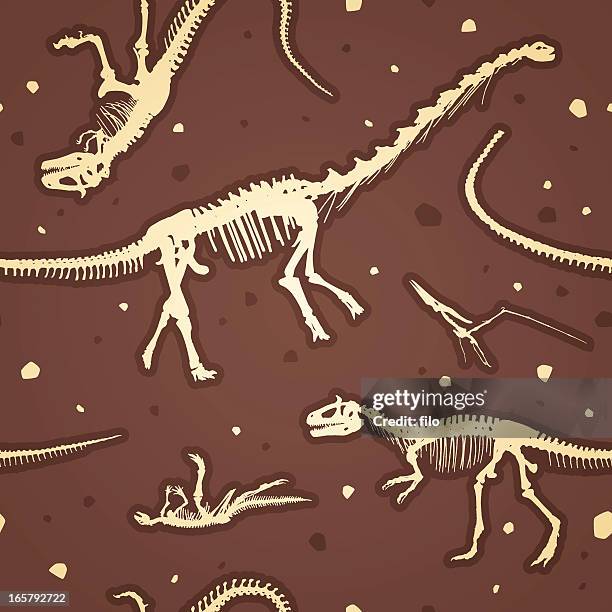 stockillustraties, clipart, cartoons en iconen met seamless prehistoric dinosaur skeletons - velociraptor