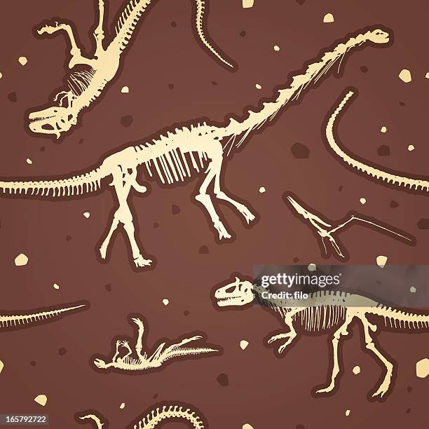 bildbanksillustrationer, clip art samt tecknat material och ikoner med seamless prehistoric dinosaur skeletons - art museum