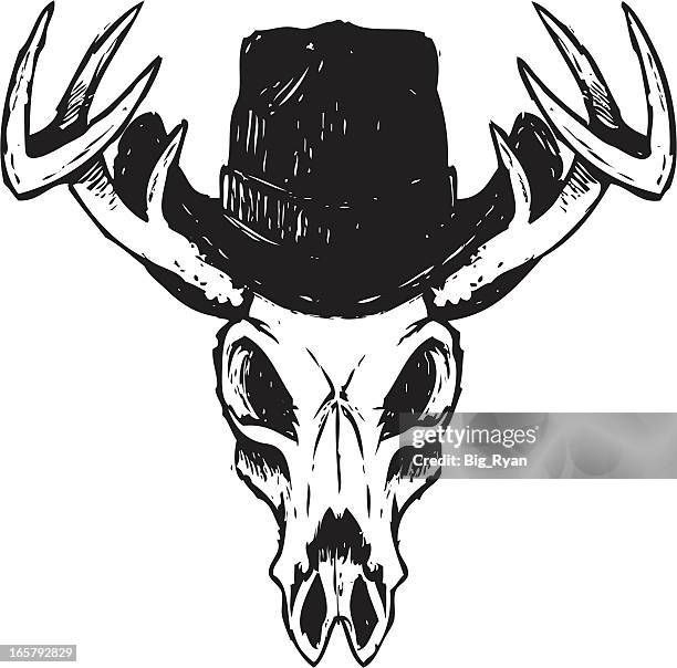 sketchy cowboy deer skull - deer skull stock illustrations