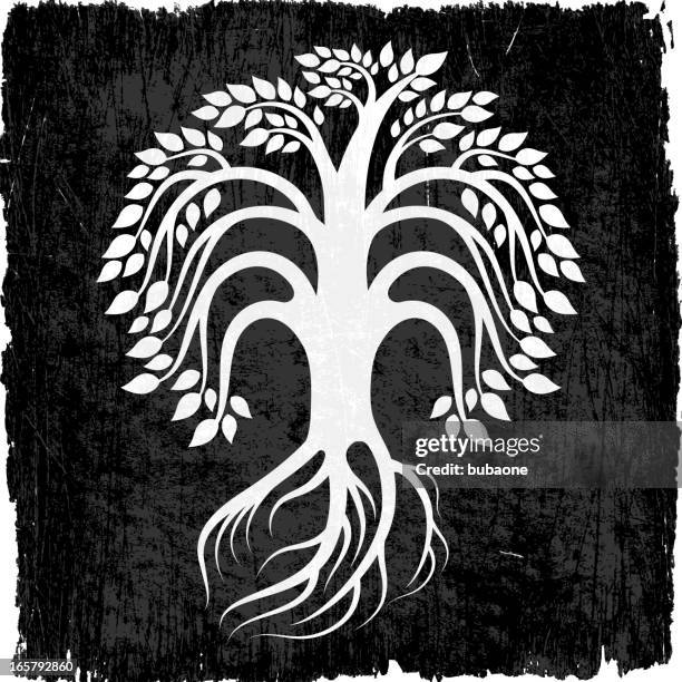 tree with roots on black royalty free vector background - willow tree stock illustrations