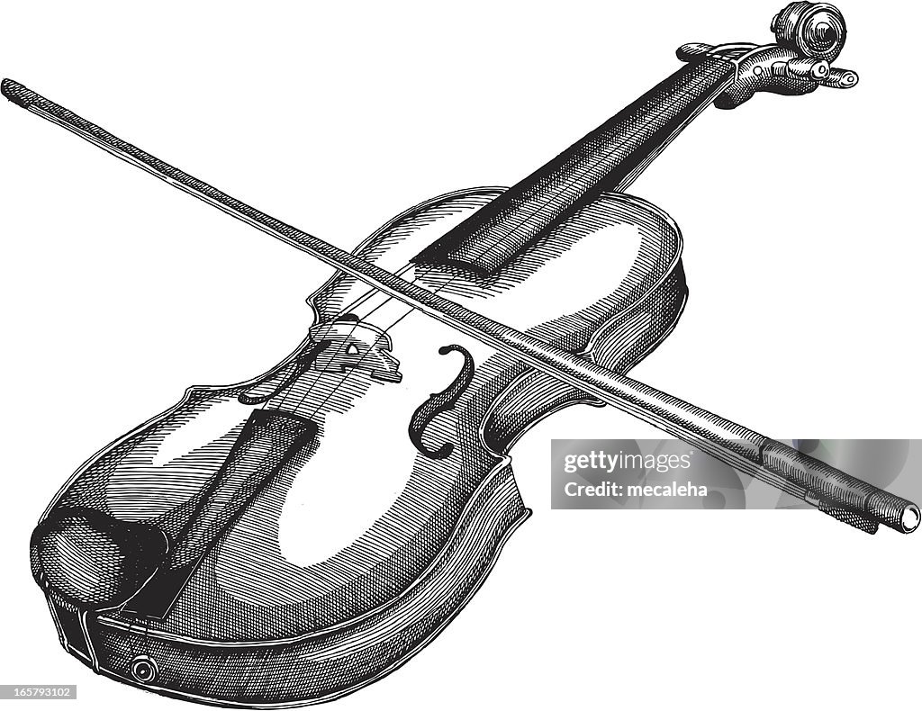 Violin