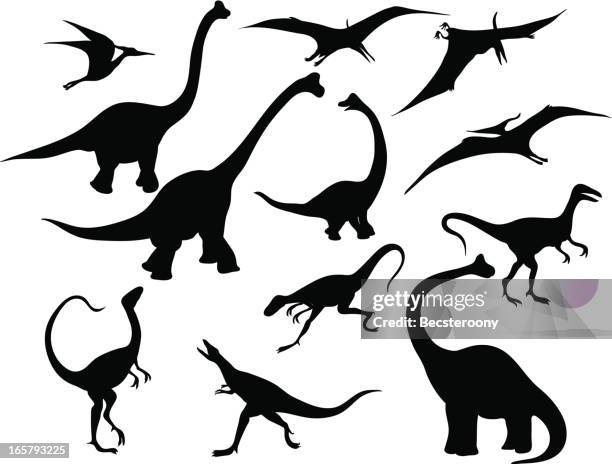dinosaur silhouettes - pterosaur stock illustrations