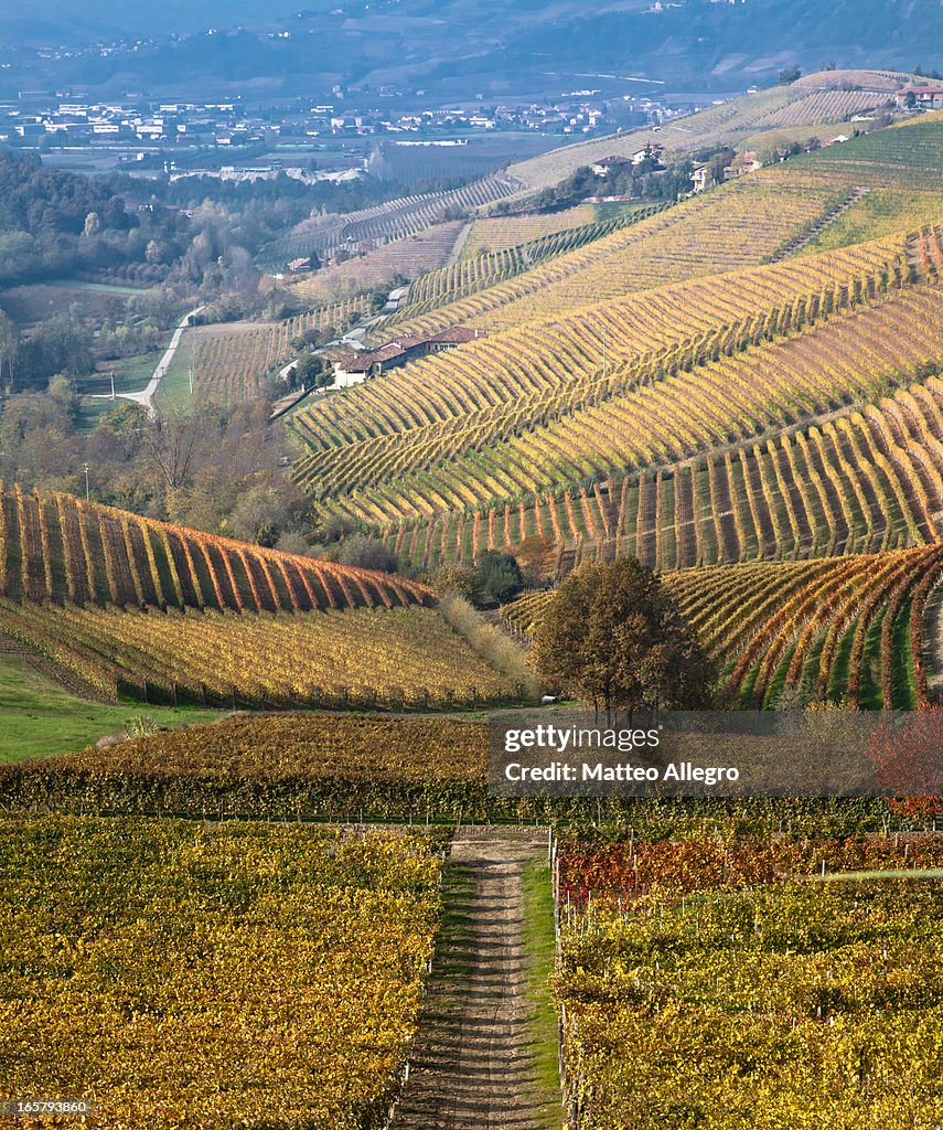 Autumn on the hills of Langhe and Monferrato