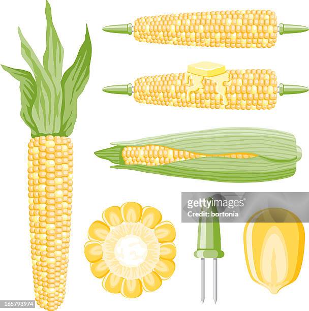 ilustrações, clipart, desenhos animados e ícones de ícones de milho - milho doce