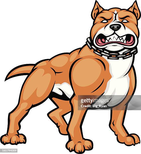 So Pit Bull High-Res Vector Graphic - Getty Images
