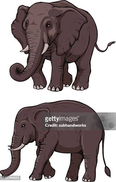 elephants - elephant 幅插畫檔、美工圖案、卡通及圖標