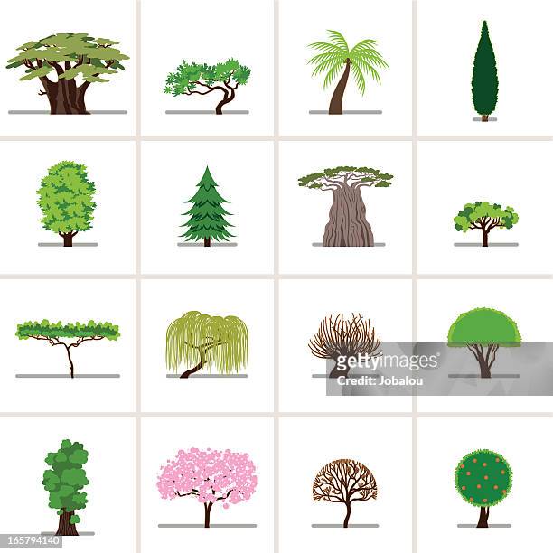 ilustraciones, imágenes clip art, dibujos animados e iconos de stock de conjunto de árboles de historieta - linda rama