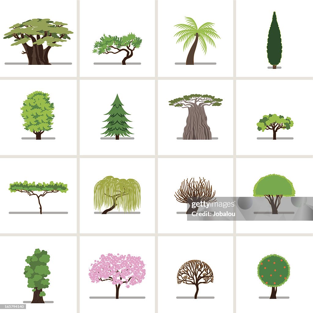 Ensemble des arbres de Dessin animé