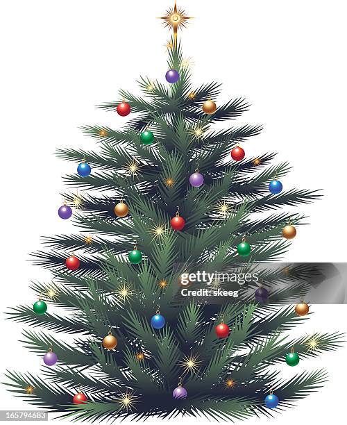 christmas tree - pine needles white background stock illustrations