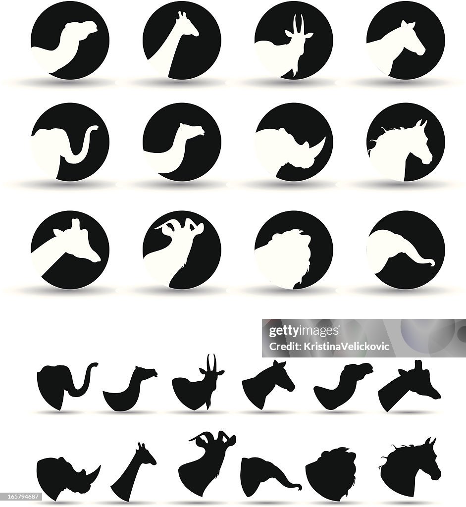 Wild animal icons