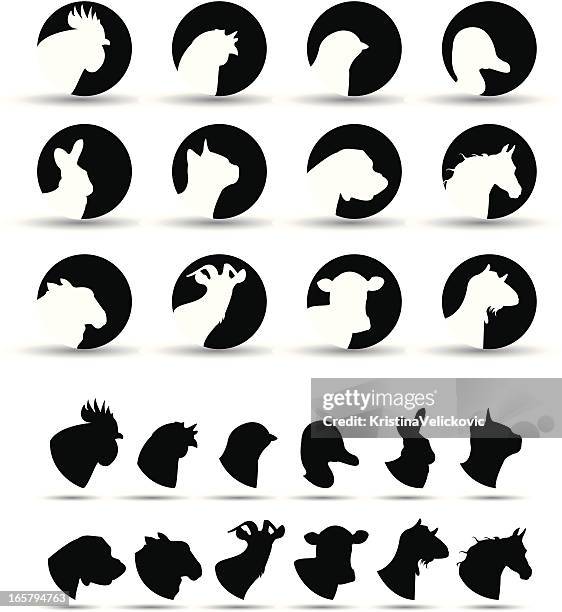 farm animal icons - black goat stock illustrations