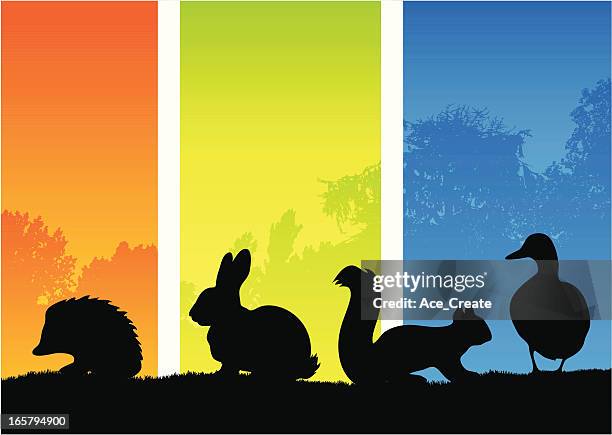 stockillustraties, clipart, cartoons en iconen met small country animal silhouettes - squirrel