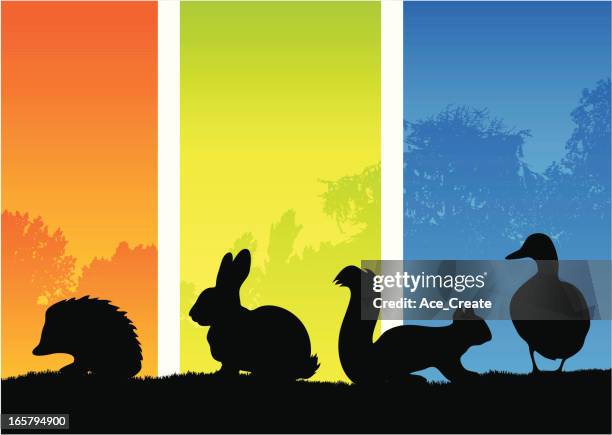small country animal silhouettes - baby rabbit stock illustrations