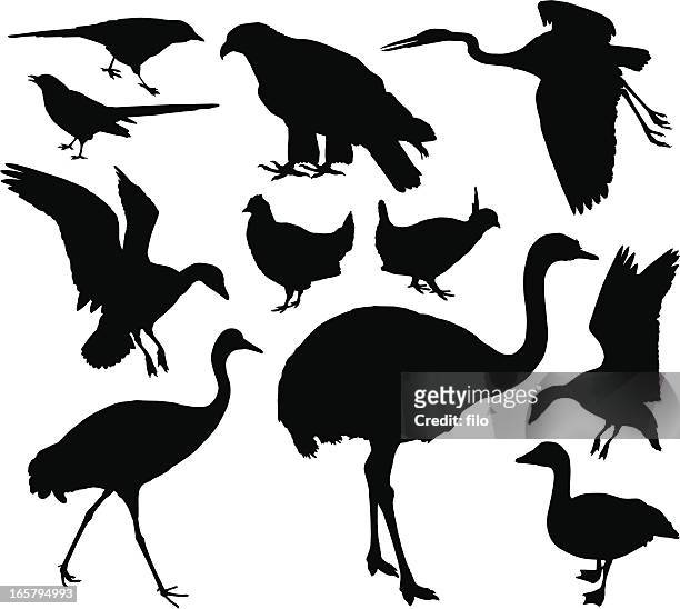bird silhouettes - heron stock illustrations