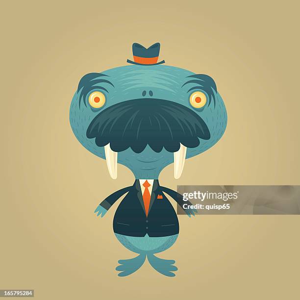walrus - walrus stock illustrations