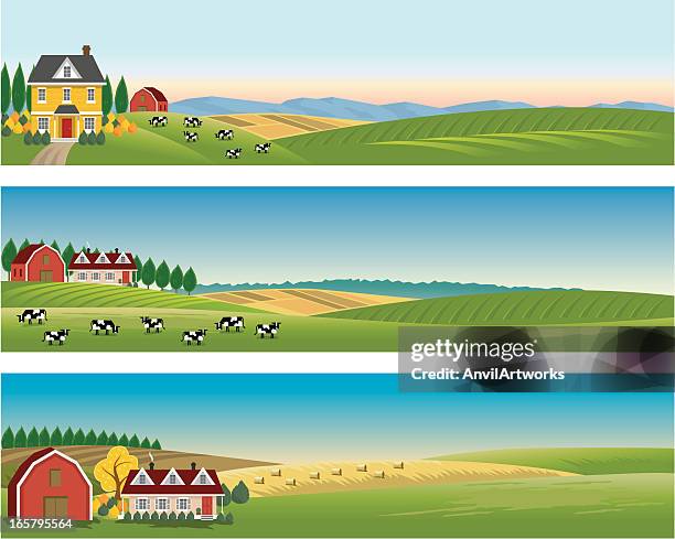 rural landscape banners - domestic cattle stock illustrations