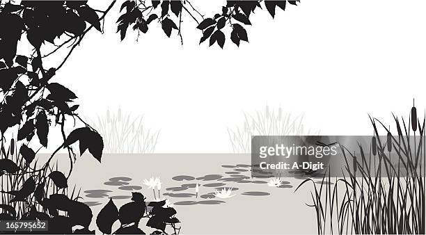 134 Cartoon Swamp Photos and Premium High Res Pictures - Getty Images