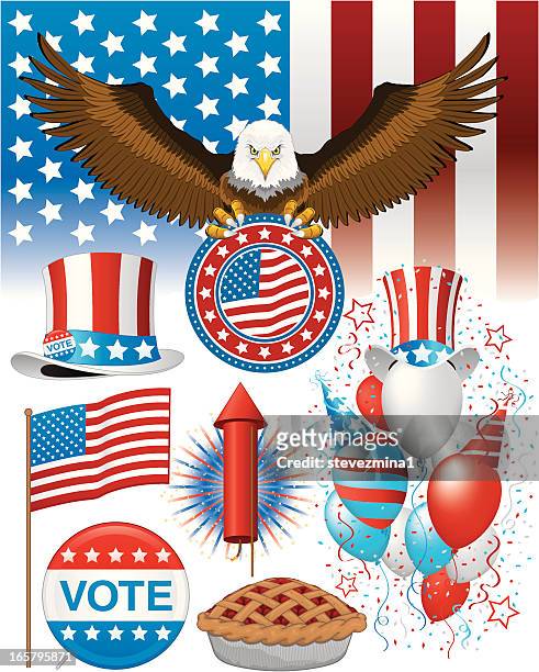 stockillustraties, clipart, cartoons en iconen met american images - bald eagle with american flag