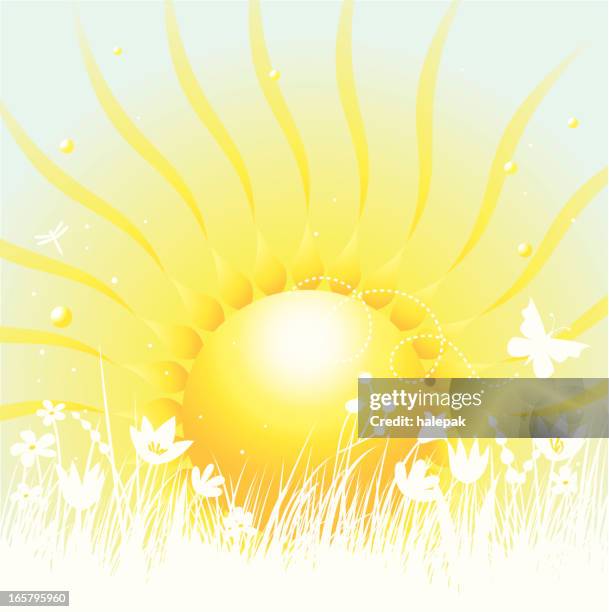Summer Background High-Res Vector Graphic - Getty Images
