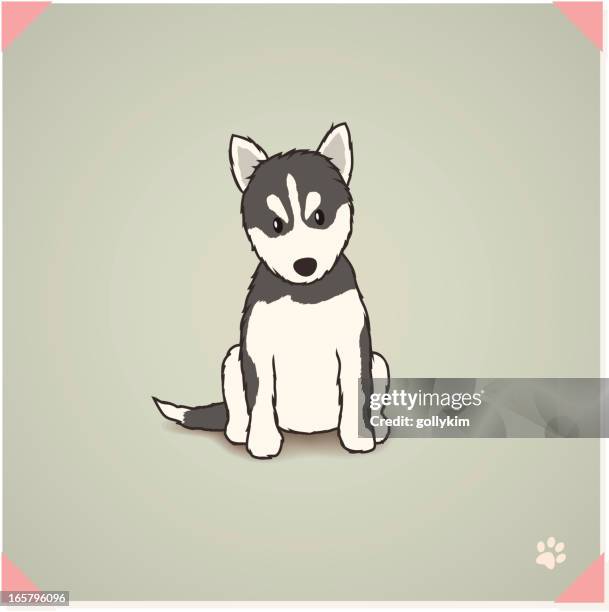 ilustraciones, imágenes clip art, dibujos animados e iconos de stock de husky siberiano cachorro - siberian husky