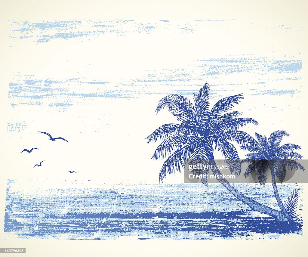 Playa Tropical dibujo