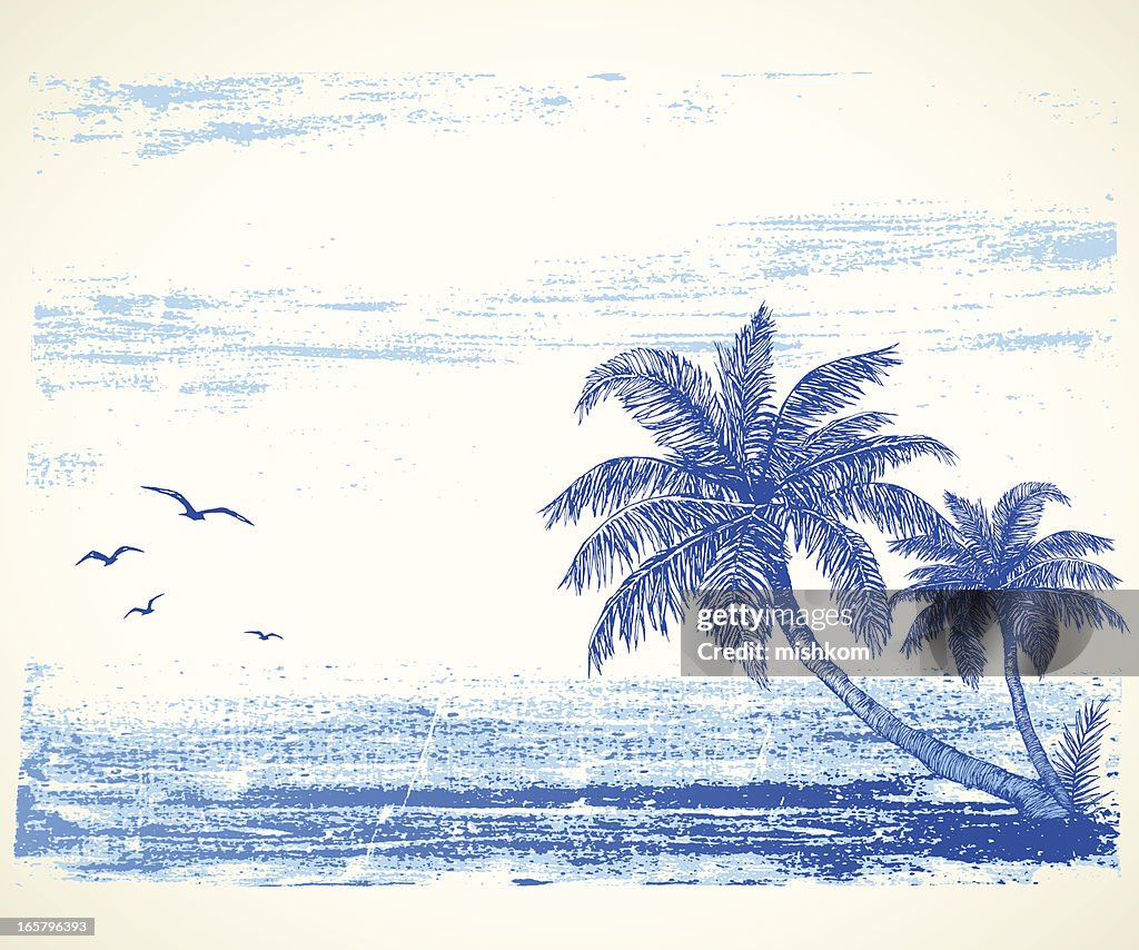 Playa Tropical dibujo