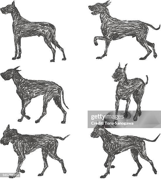great dane - pampered pets stock illustrations