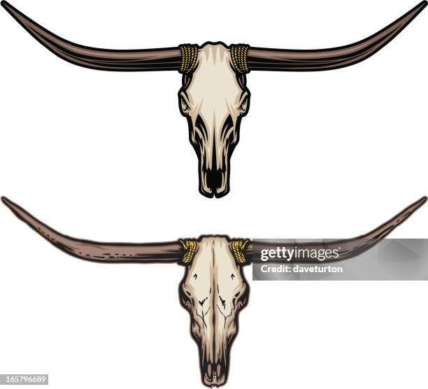 bildbanksillustrationer, clip art samt tecknat material och ikoner med longhorn skull - criollo