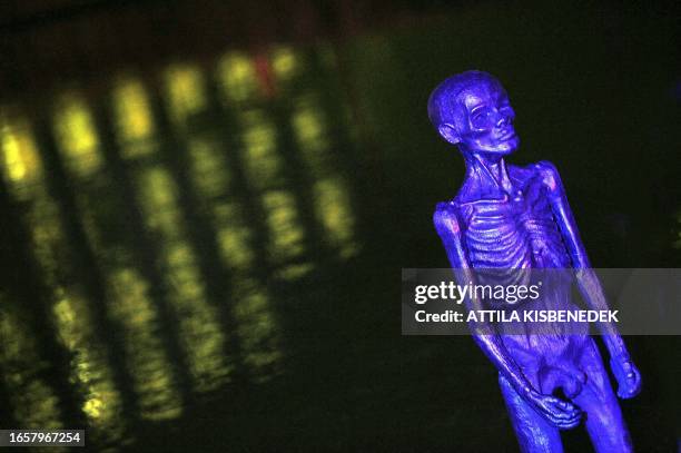 Sculpture stands in the channel-water under a metro-line in front of the Bella center of Copenhagen on December 8, 2009 as the UN climate talks got...