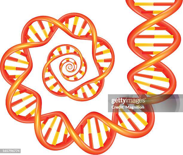 dna spiral - genetic variation stock illustrations