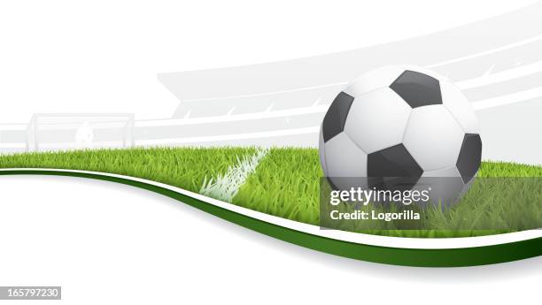bildbanksillustrationer, clip art samt tecknat material och ikoner med illustration of a soccer ball in a field - football field