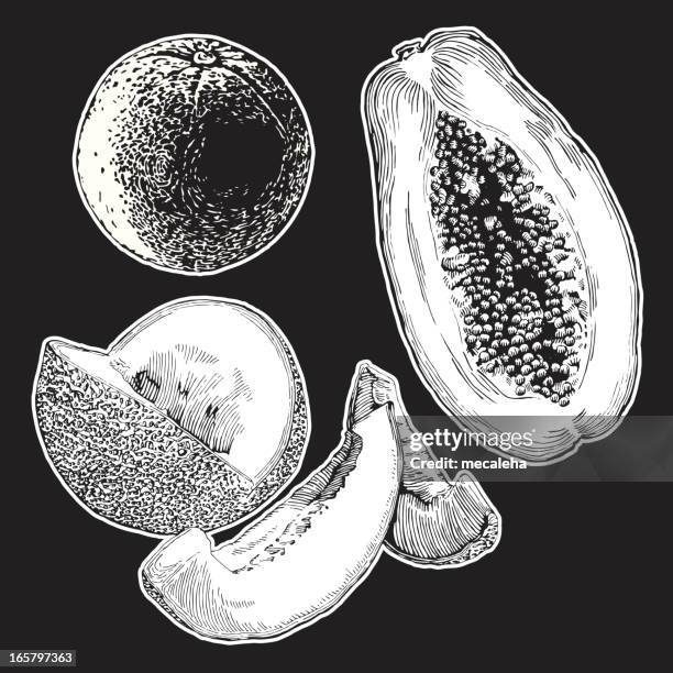 fruits, ink drawing - cantaloupe stock illustrations
