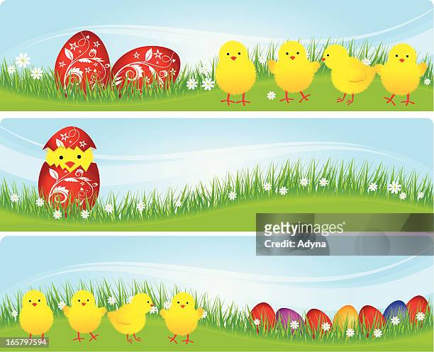 easter banner - chick egg stock illustrations