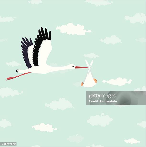 storch lieferung - weibliches baby stock-grafiken, -clipart, -cartoons und -symbole