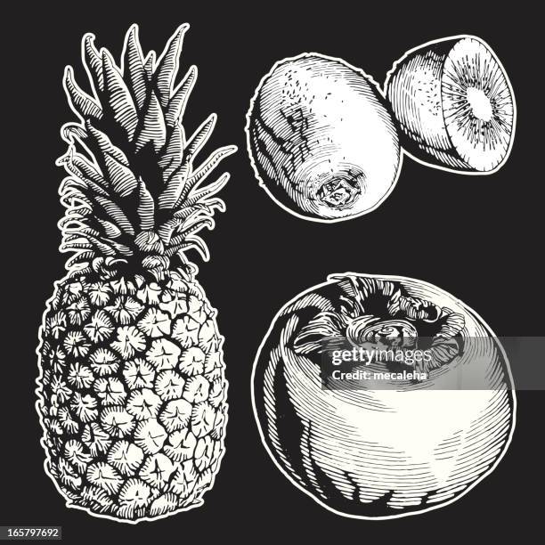 fruits, ink drawing - fresh pineapple chunks stock illustrations