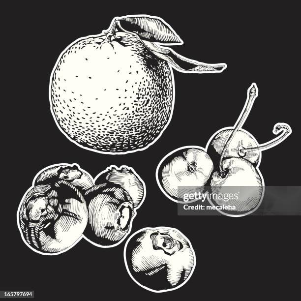 13 Clementine Drawing High Res Illustrations - Getty Images