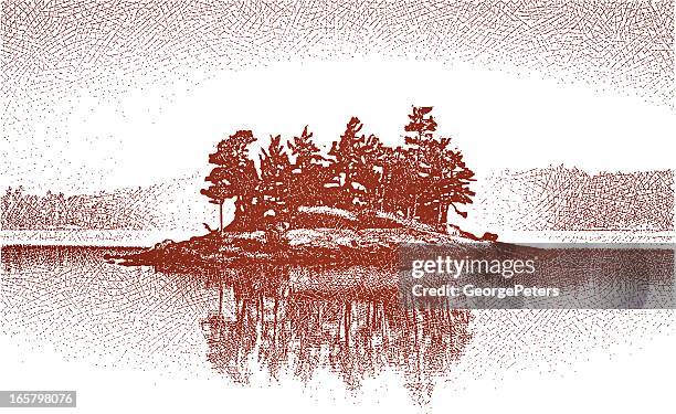 stockillustraties, clipart, cartoons en iconen met island on wilderness lake - red pine