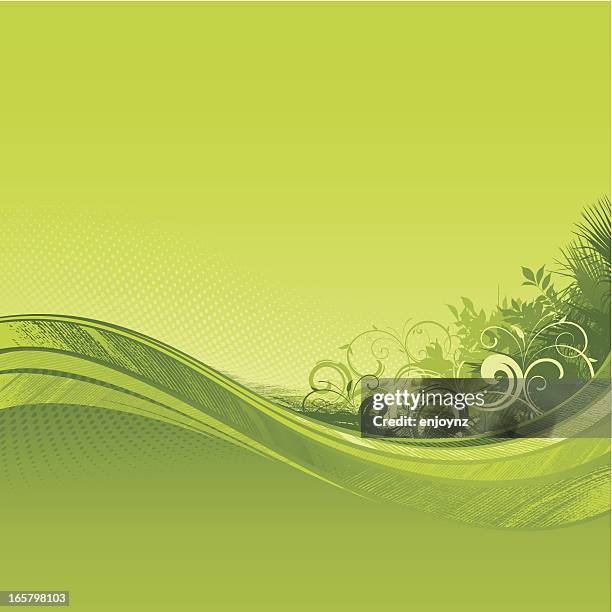 215 Spring Green Background High Res Illustrations - Getty Images