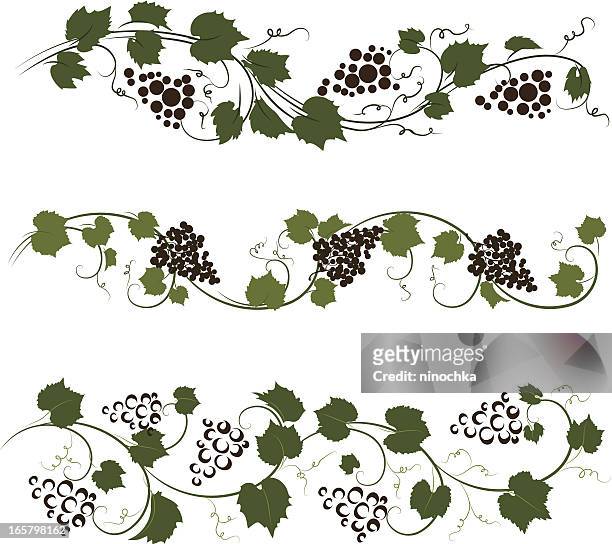 illustrazioni stock, clip art, cartoni animati e icone di tendenza di uva ornamenti - vineyard leafs